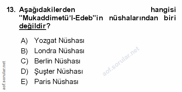 Soru 13