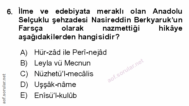 Soru 6