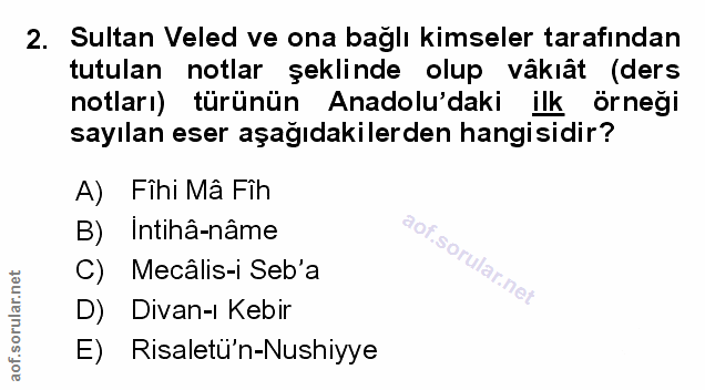 Soru 2