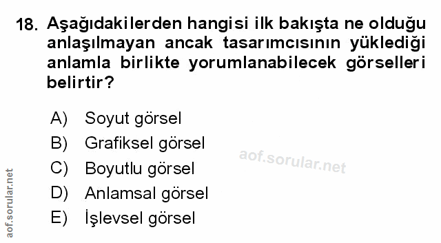 Soru 18