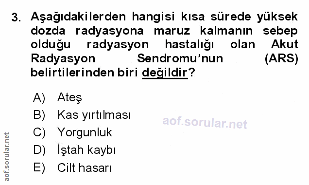 Soru 3