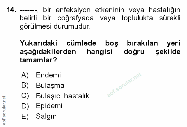 Soru 14