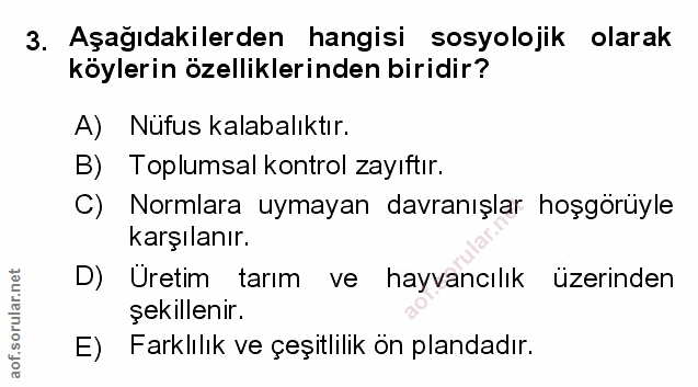 Soru 3