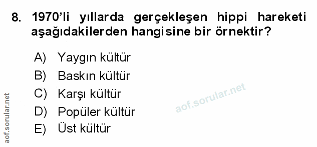 Soru 8