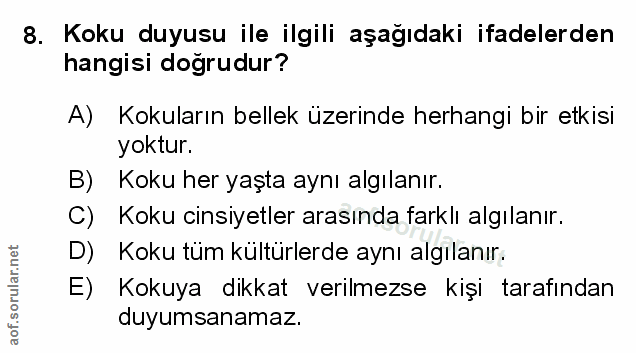 Soru 8