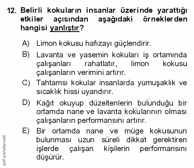 Soru 12