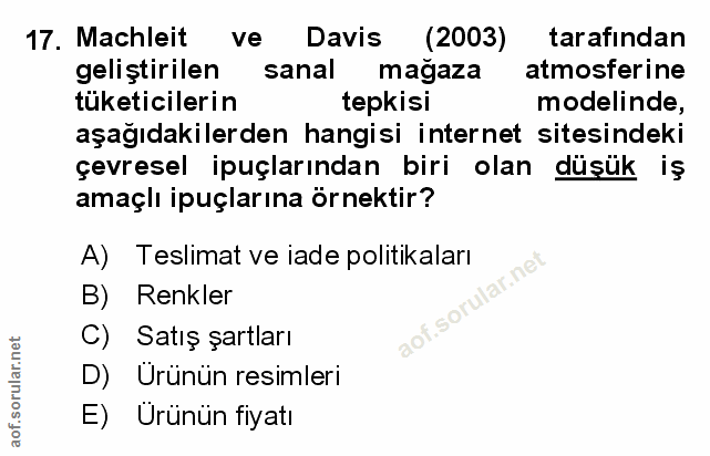 Soru 17