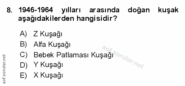 Soru 8