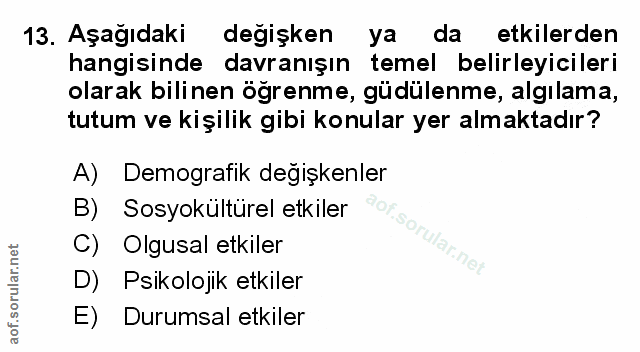 Soru 13