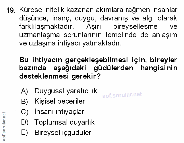 Soru 19