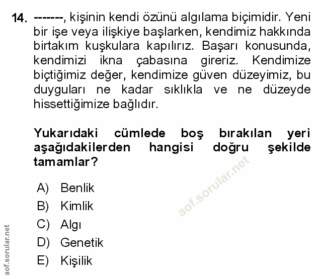Soru 14