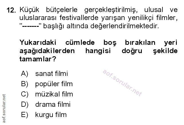 Soru 12