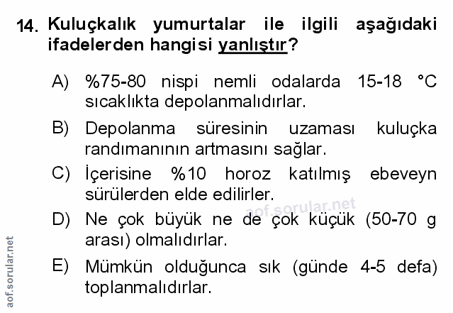 Soru 14