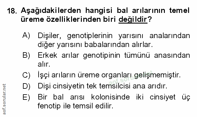 Soru 18