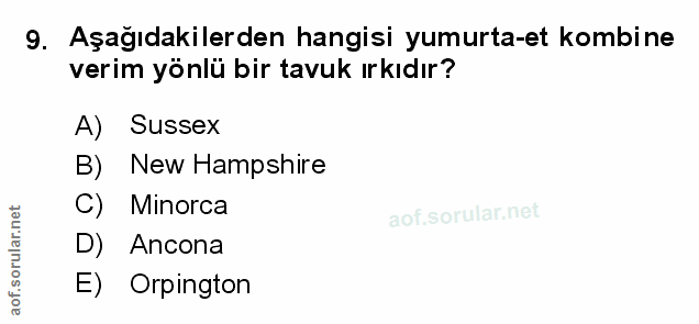 Soru 9