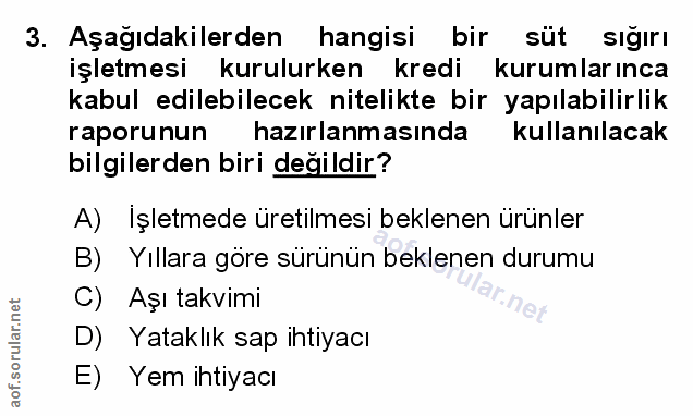 Soru 3
