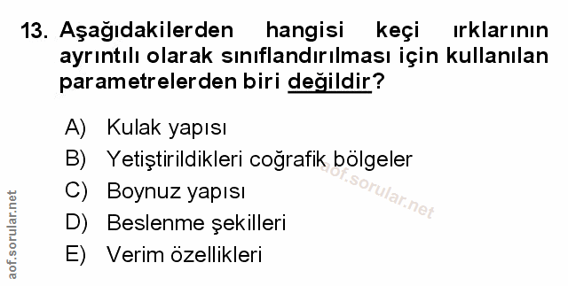 Soru 13