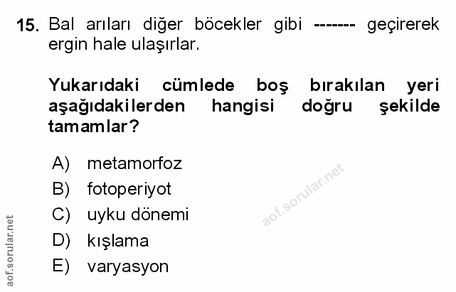 Soru 15