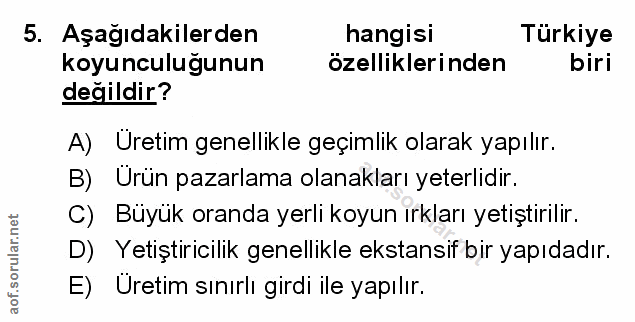 Soru 5