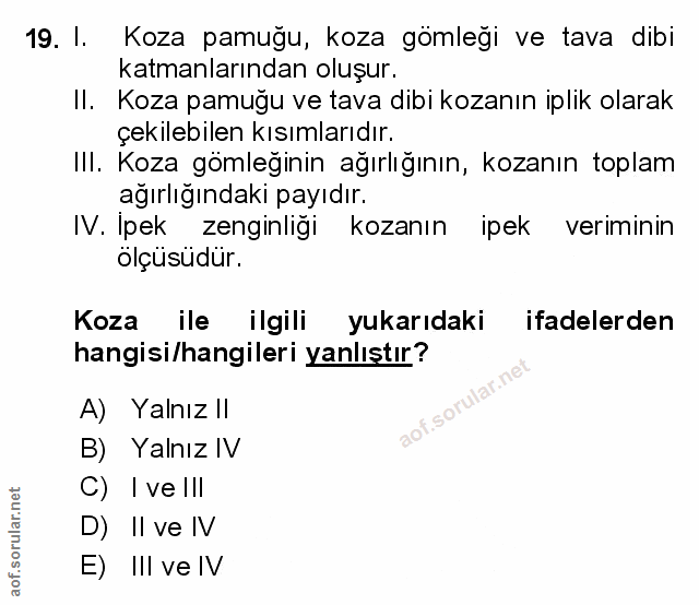 Soru 19