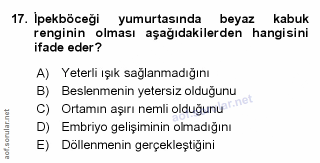 Soru 17