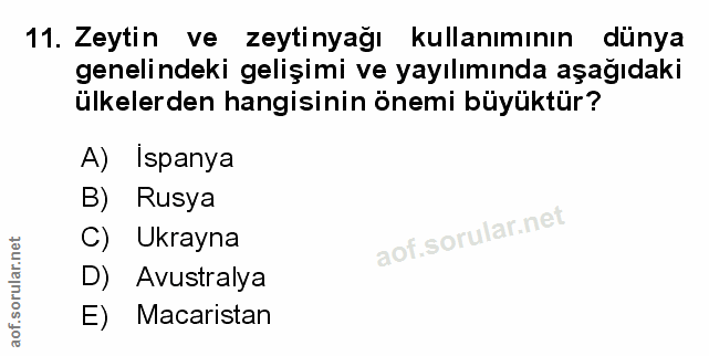 Soru 11