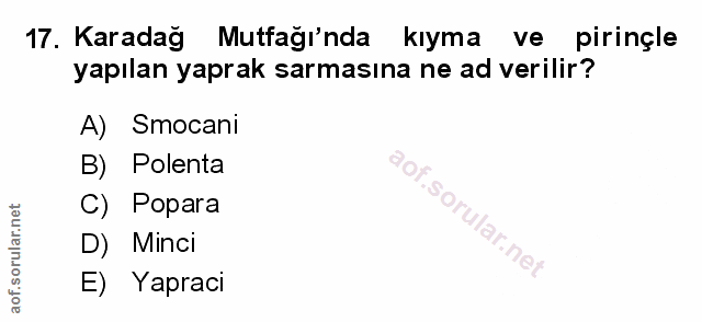Soru 17