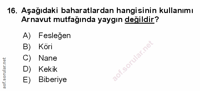 Soru 16