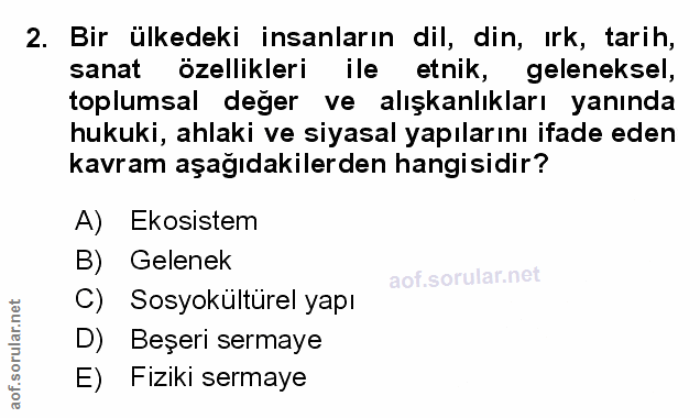 Soru 2