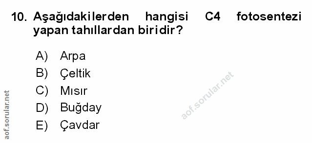 Soru 10