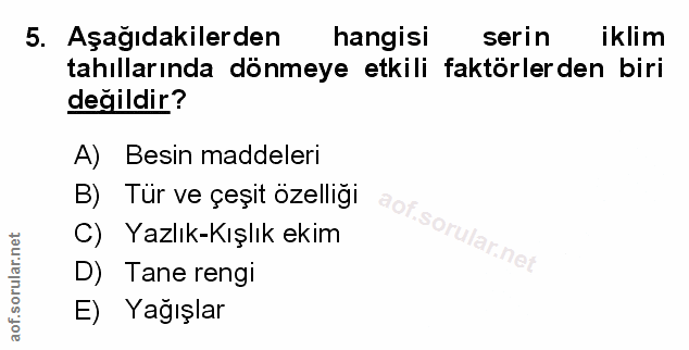 Soru 5