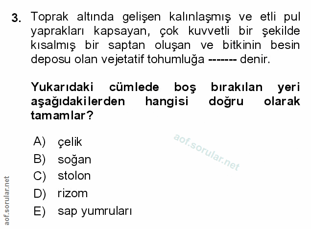 Soru 3