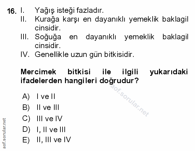 Soru 16