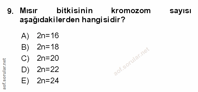 Soru 9