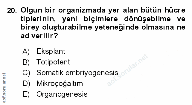 Soru 20