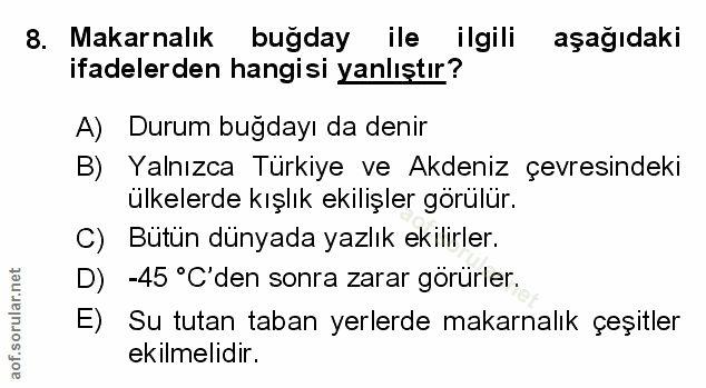 Soru 8