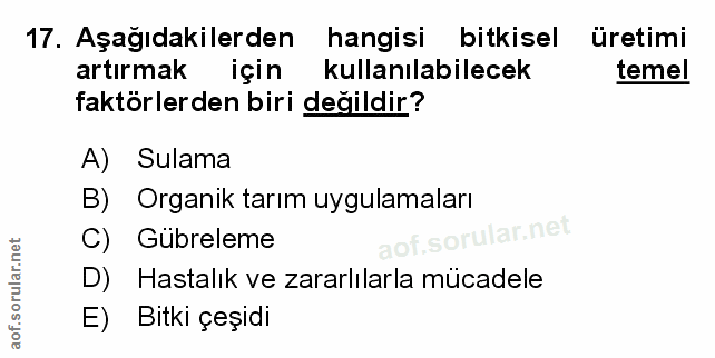 Soru 17