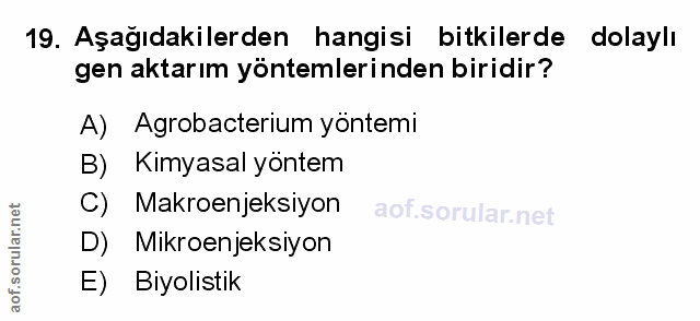 Soru 19