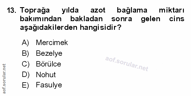 Soru 13