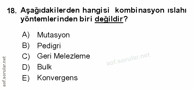 Soru 18