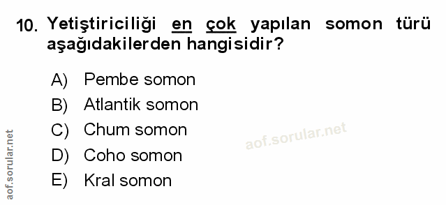 Soru 10