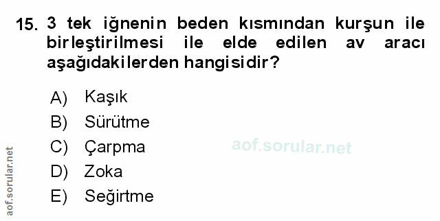 Soru 15