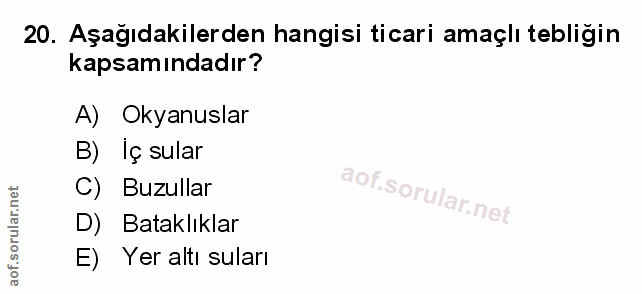 Soru 20