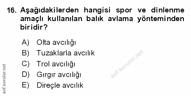 Soru 16