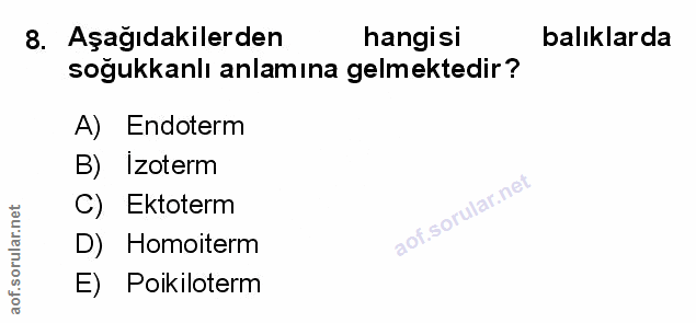 Soru 8
