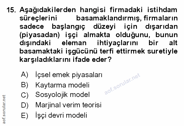Soru 15