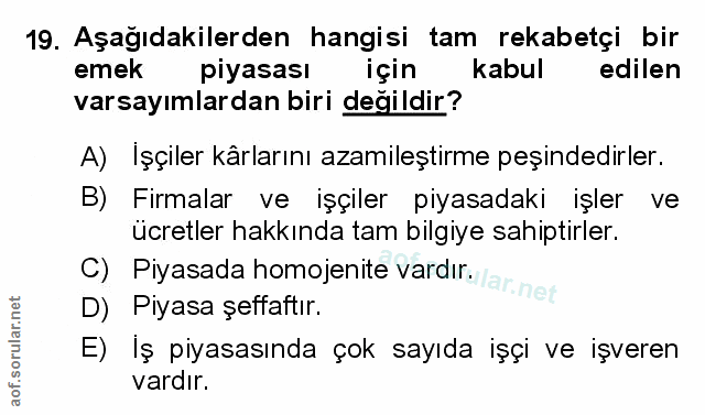 Soru 19