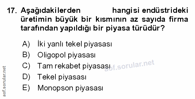 Soru 17