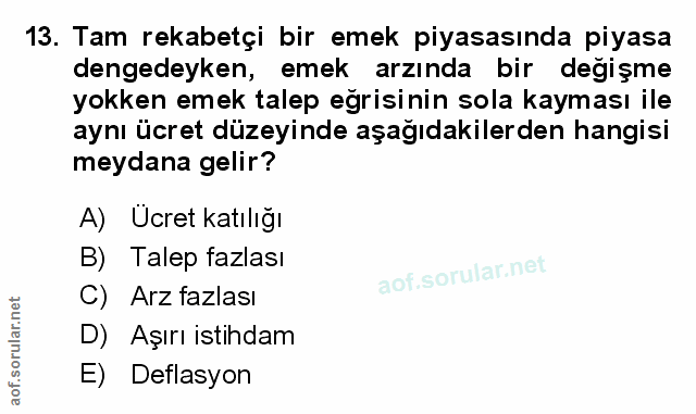 Soru 13