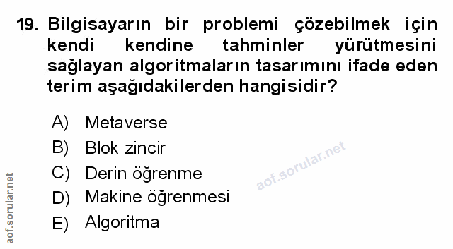 Soru 19